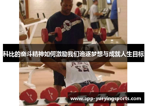 科比的奋斗精神如何激励我们追逐梦想与成就人生目标